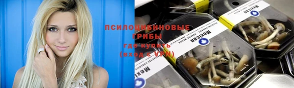 2c-b Михайловск