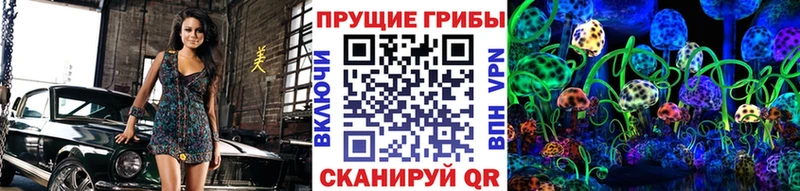 Галлюциногенные грибы Cubensis купить закладку Екатеринбург